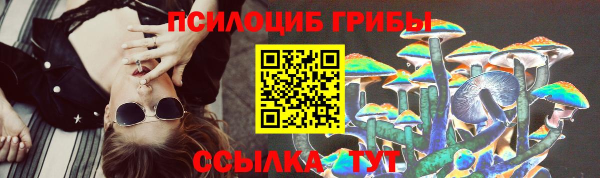Амурск  Псилоцибиновые грибы GOLDEN TEACHER  наркотики  Галлюциногенные грибы прущие грибы  Вход с VPN 